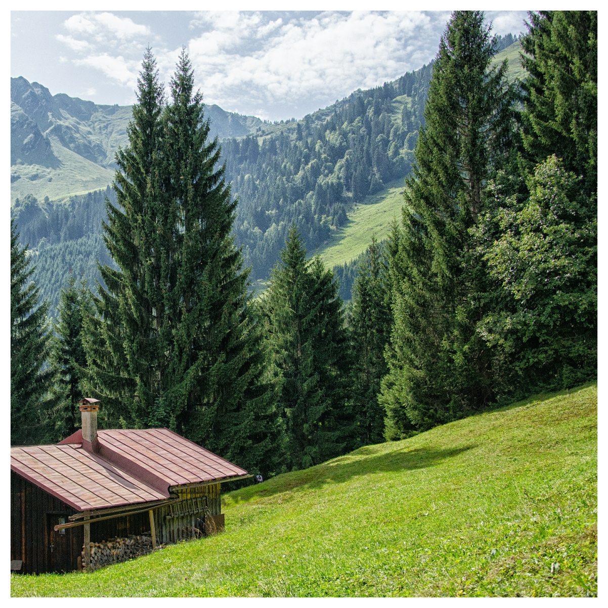 Ferienhof Pfeiffer - Grünenbach im Westallgäu