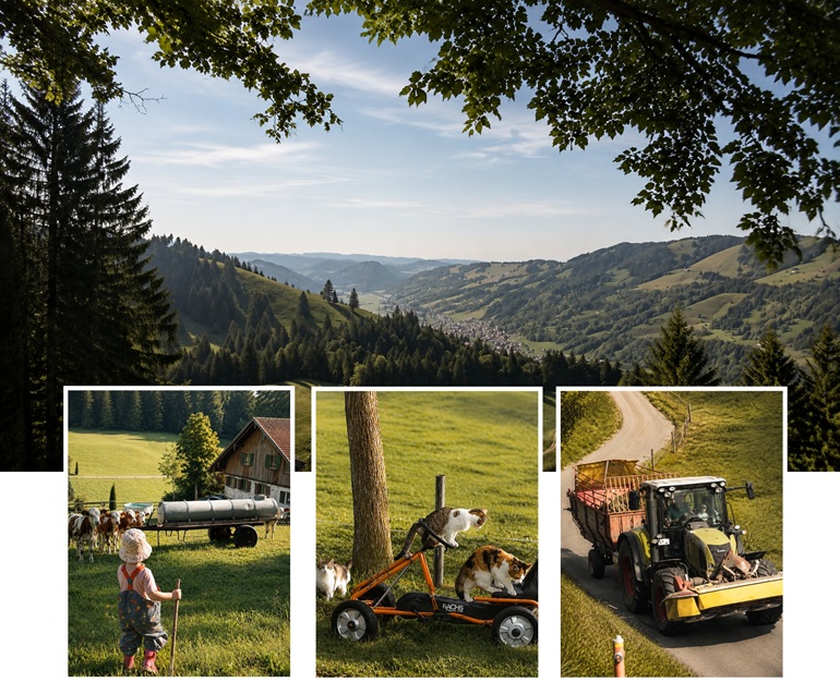 Ferienhof Pfeiffer - Grünenbach im Westallgäu