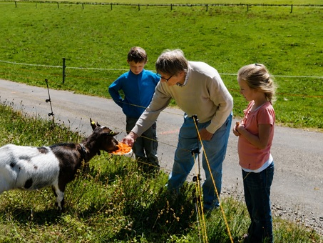 Ferienhof Pfeiffer - Grünenbach im Westallgäu