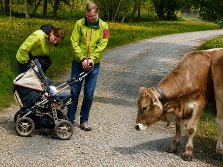 Ferienhof Pfeiffer - Grünenbach im Westallgäu