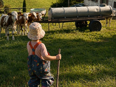 Ferienhof Pfeiffer - Grünenbach im Westallgäu