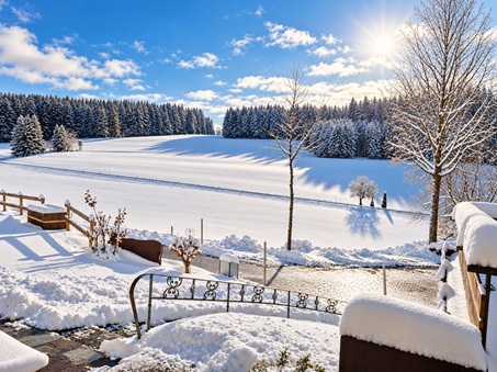Ferienhof Pfeiffer - Grünenbach im Westallgäu