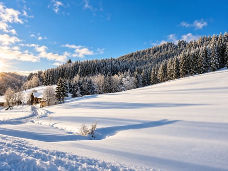 Ferienhof Pfeiffer - Grünenbach im Westallgäu