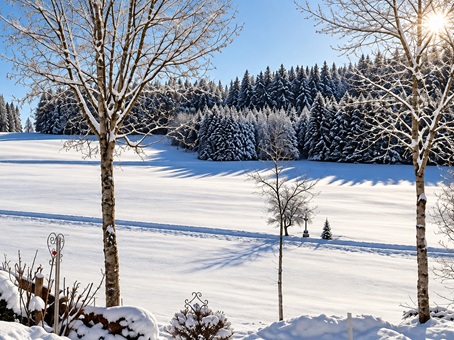 Ferienhof Pfeiffer - Grünenbach im Westallgäu